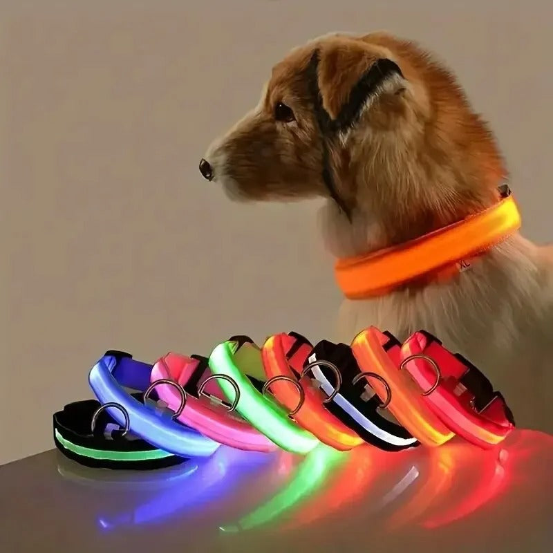 Fluorescent Pet Dog Collar
