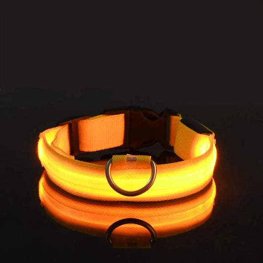 Fluorescent Pet Dog Collar