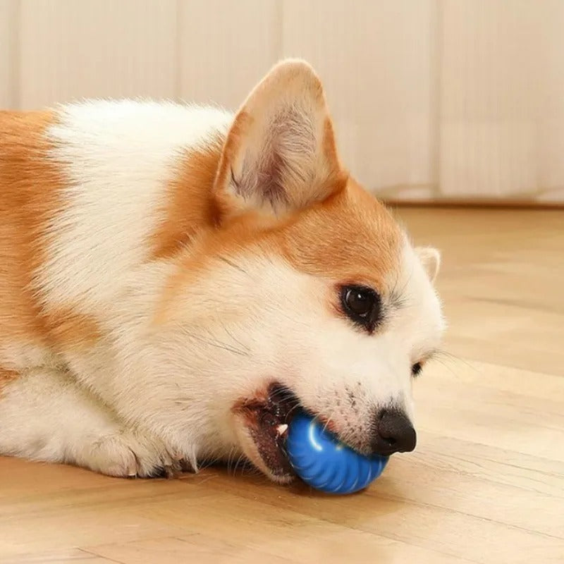 Automatic Moving Dog Ball